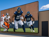 273" ( 22.75 ft) Outdoor TV